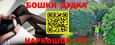 кокс Кингисепп