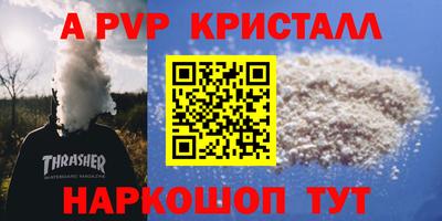 кокс Кингисепп