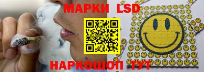 кокс Кингисепп